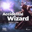 Accidental Wizard Audiobook
