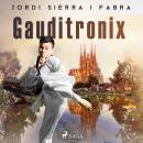 Gauditronix Audiobook