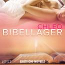 Bibellager - Erotische Novelle Audiobook