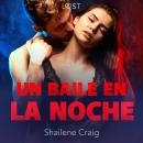 Un baile en la noche - un relato corto erótico Audiobook