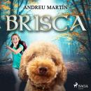 Brisca Audiobook