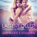 [German] - Lagerkoller: Sechs erotische Novellen Audiobook