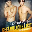 Gefährliche Lust - Erotische Novelle Audiobook