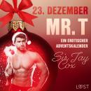 23. Dezember: Mr. T  - ein erotischer Adventskalender Audiobook