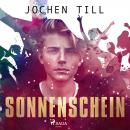 Sonnenschein Audiobook