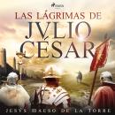 [Spanish] - Las lágrimas de Julio César Audiobook
