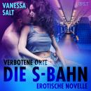 Verbotene Orte: Die S-Bahn - Erotische Novelle Audiobook