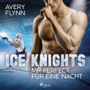 Ice Knights - Mr Perfect für eine Nacht Audiobook