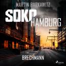 [German] - SoKo Hamburg: Brechmann (Ein Fall für Heike Stein, Band 17) Audiobook