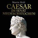 Caesar im Senat niedergestochen! Audiobook