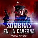 Sombras en la caverna Audiobook