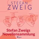 Stefan Zweigs Novellensammlung Audiobook