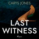 Last Witness Audiobook