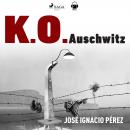 KO Auswitchz Audiobook