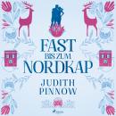 Fast bis zum Nordkap: Roman (Der schwedischste Liebesroman des Jahres) Audiobook