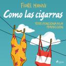 [Spanish] - Como las cigarras. Todo funciona a la perfección. Audiobook