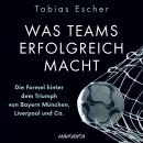 Was Teams erfolgreich macht - Die Formel hinter dem Triumph von Bayern München, Liverpool und Co. Audiobook