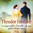 [German] - Theodor Fontane – 3 ausgewählte Novellen, die man gehört haben muss Audiobook