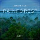 Cover of Ambience - Rainforest