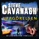 [Swedish] - Uppgörelsen Audiobook