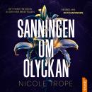 [Swedish] - Sanningen om olyckan Audiobook