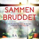 [Danish] - Sammenbruddet Audiobook