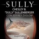 Sully: Versione italiana Audiobook