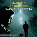 [Italian] - Sara che aspetta Audiobook