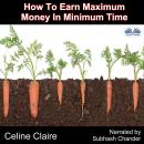 How To Earn Maximum Money In Minimum Time Audiobook