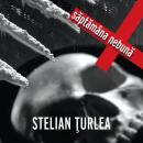 [Romanian] - Săptămâna nebună Audiobook