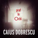[Romanian] - Praf în ochi Audiobook