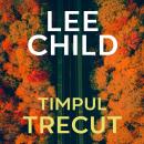 [Romanian] - Timpul trecut Audiobook