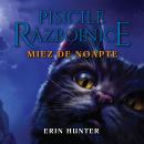 [Romanian] - Miez de noapte Audiobook