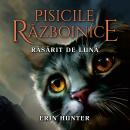 [Romanian] - Răsărit de Lună Audiobook