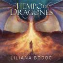 Tiempo de Dragones 2: El Elegido en su soledad Audiobook