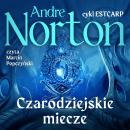 [Polish] - Czarodziejskie miecze Audiobook