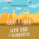[Indonesian] - Some Kind of Wonderful Audiobook