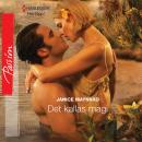 Det kallas magi Audiobook