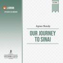 Our Journey to Sinai Audiobook