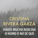 [Spanish] - Había mucha neblina o humo o no sé qué Audiobook