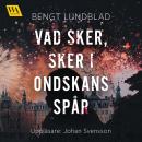 Vad sker, sker i ondskans spår Audiobook