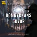 Domkyrkans duvor Audiobook