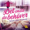 Det enda du behöver Audiobook