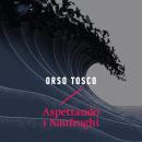 [Italian] - Aspettando i naufraghi Audiobook