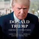 [Portuguese] - América Debilitada: Como tornar a América grande outra vez Audiobook