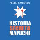 Historia secreta mapuche Audiobook