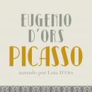 Picasso Audiobook