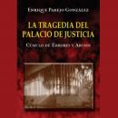 La Tragedia del Palacio de Justicia: Cúmulo de Errores y Abusos Audiobook