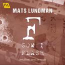 F som i flash Audiobook