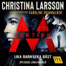 [Swedish] - Sektion M – Lika barn leka bäst Audiobook